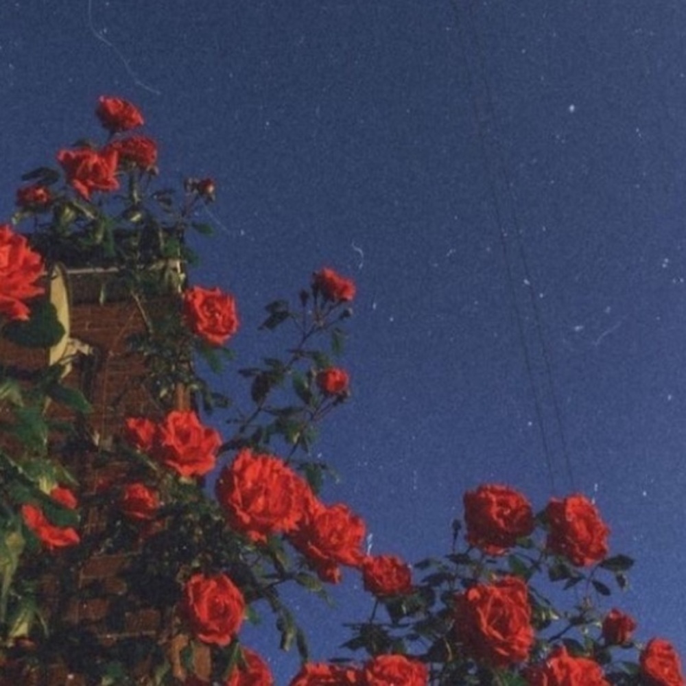 Meet your Posher, Karin